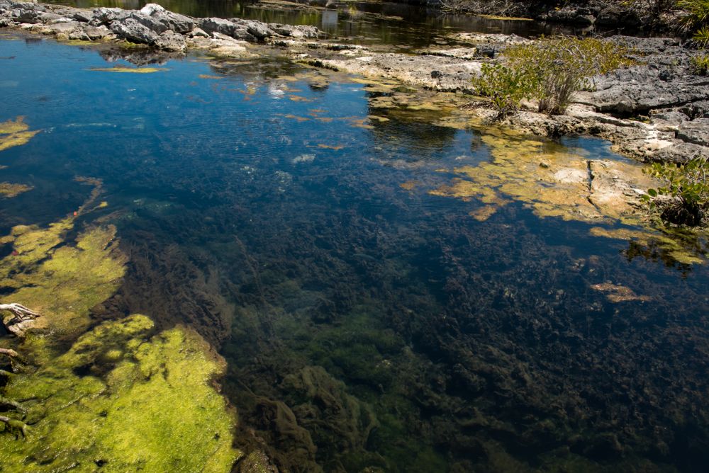 Mexican Yal-Ku Lagoon