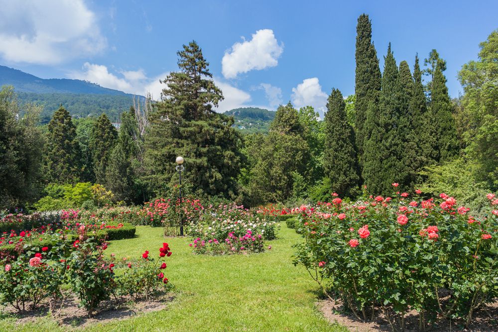 The Botanical Garden in Yalta